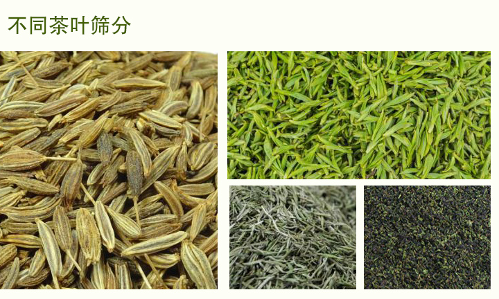 茶葉解決篩分機(jī)使用范圍